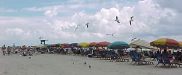 the beach at Galveston