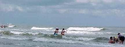 the Gulf of Mexico beach