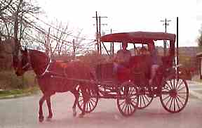 Horse drawn carriage