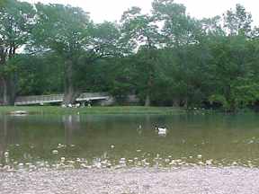 Louise Hays Park-